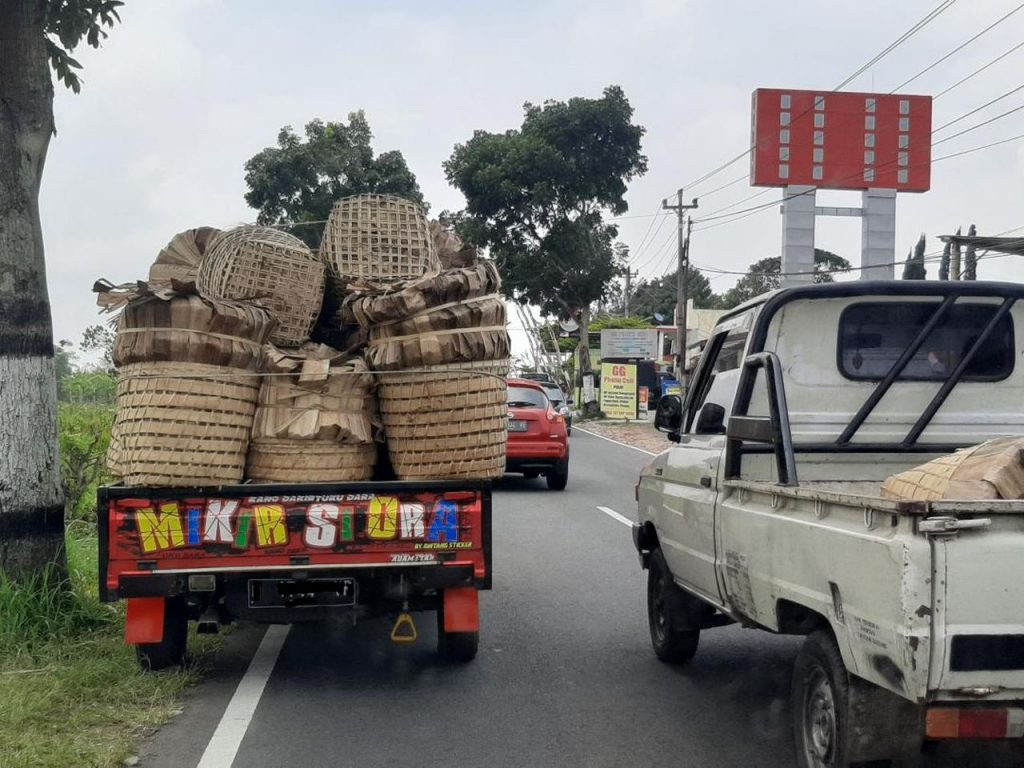 pengangkut tembakau